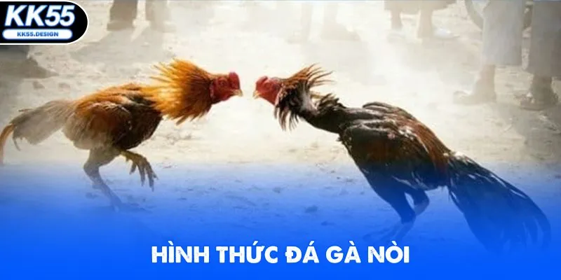 Đá gà C1 nòi nổi bật với những đòn đá đẹp mắt của thần kê