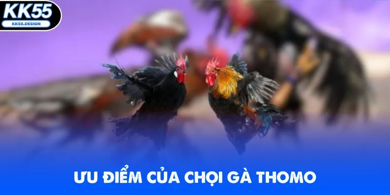 KK55 cung cấp thông tin nhanh chóng trong các trận đá gà online