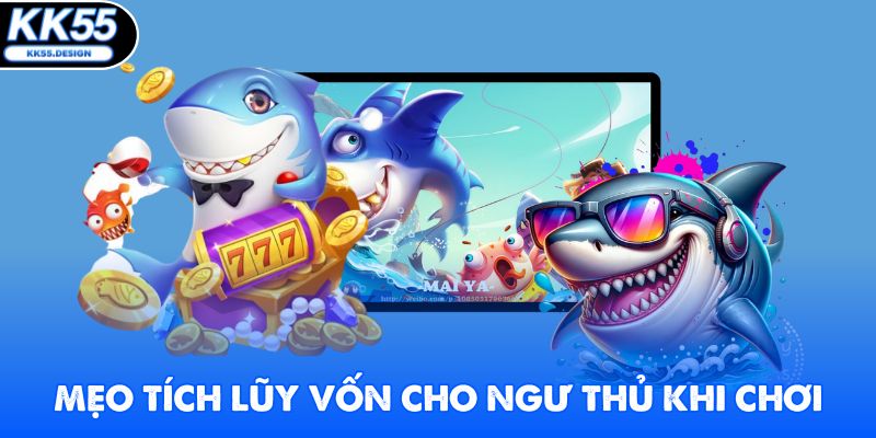 Mẹo tích lũy vốn cho ngư thủ khi chơi